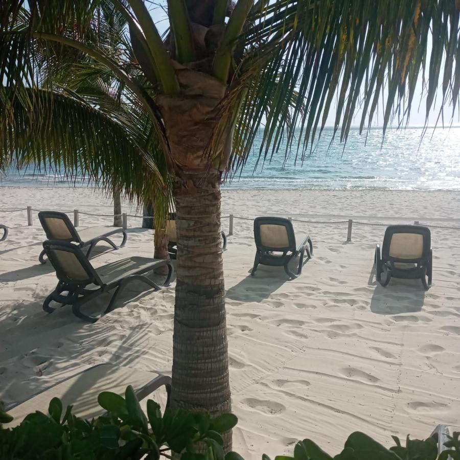Apartament Swim The Caribbean & Work With A View Cancún Zewnętrze zdjęcie